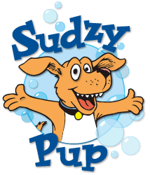 Handling all your dogs grooming needs in Southern Vermont!